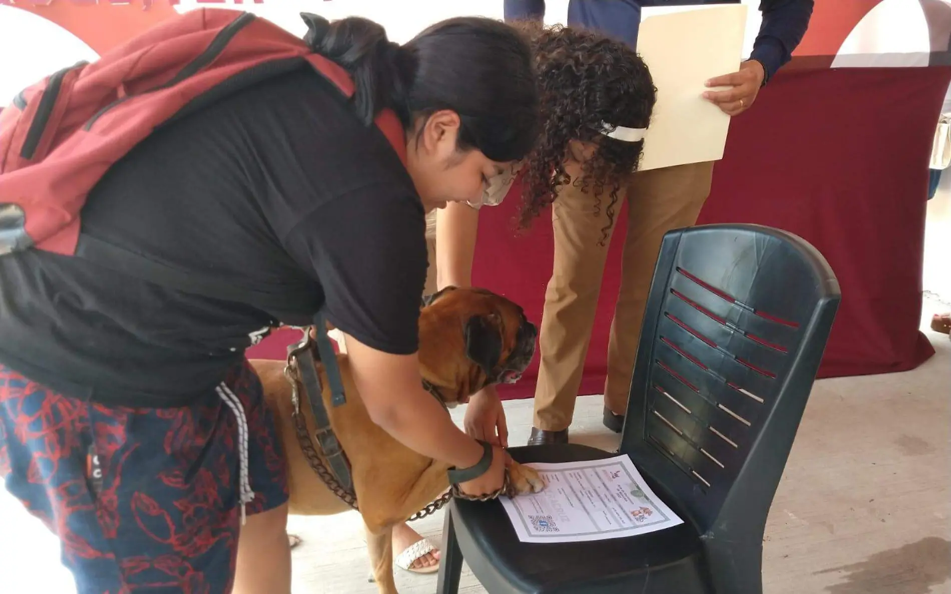 Con su huella, perritos en Pánuco obtienen su registro 